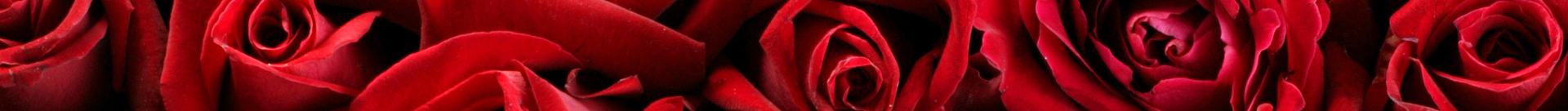Kempinski-Rose3.jpg
