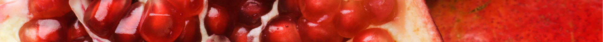 Hotel-Shanghai-Wide-Header-Pomme.jpg